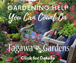 AD: Tagawa Gardens