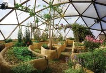 Garden All Year Round Inside a Growing Dome