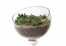 Glass Terrariums: Mini Greenhouses with Maximum Charm Wild Flowers terrarium