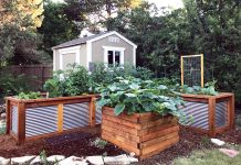 Why You Should Elevate Your Garden Raised garden beds