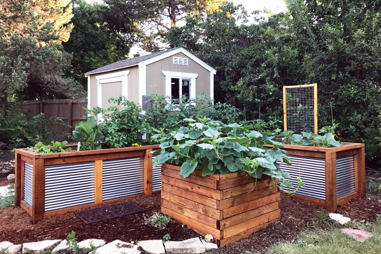 Raised garden beds