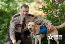 Transforming Lives: Freedom Service Dogs Changes the Game for First Responders and Others with Disabilities Police officer with service dog from Freedom Service Dogs
