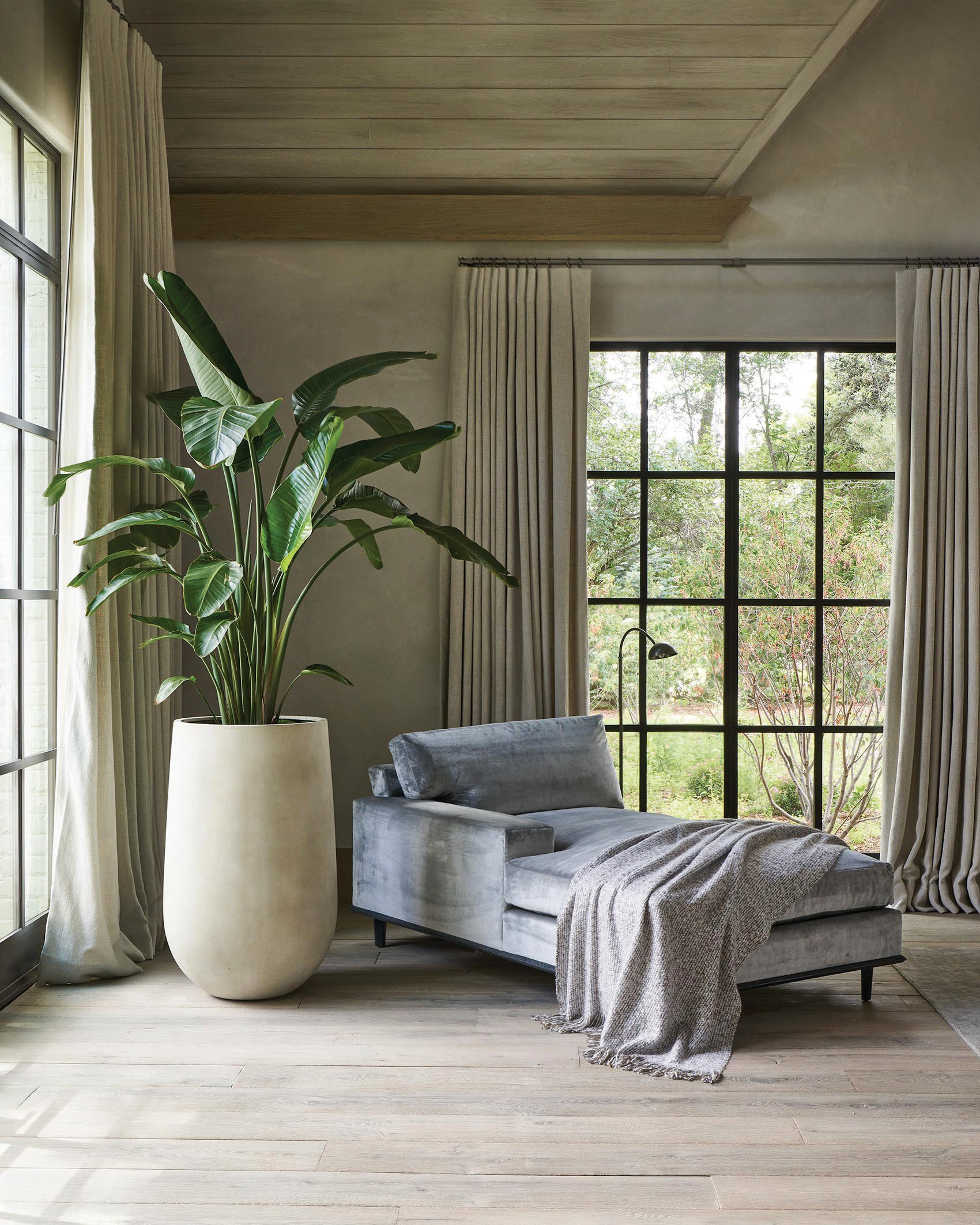 Bloom & Flourish's Biophilic Designs