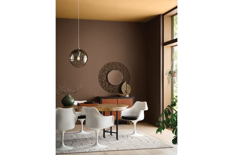 Sherwin-Williams: Grounded (6089)