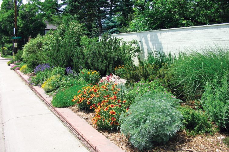 Curb of a home by Phase One Landscapes.