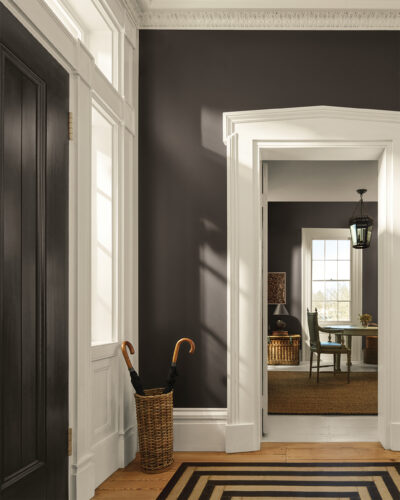 Entryway painted with the 2026 color of the year.