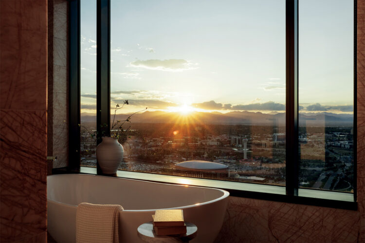 View from a condo for sale at the Four Seasons Denver.