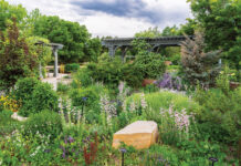 Gardening Tips for Planting Perennials That Last Flowers and bench at the Denver Botanic Gardens.