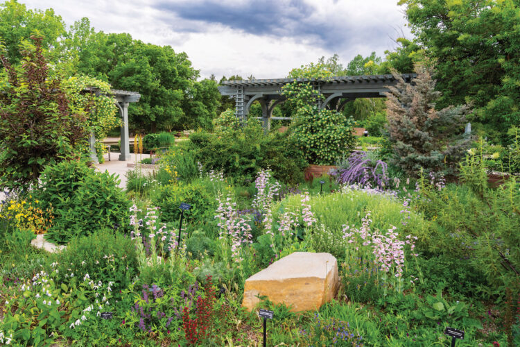 Flowers and bench at the Denver Botanic Gardens. 